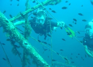  Bucear con los peces